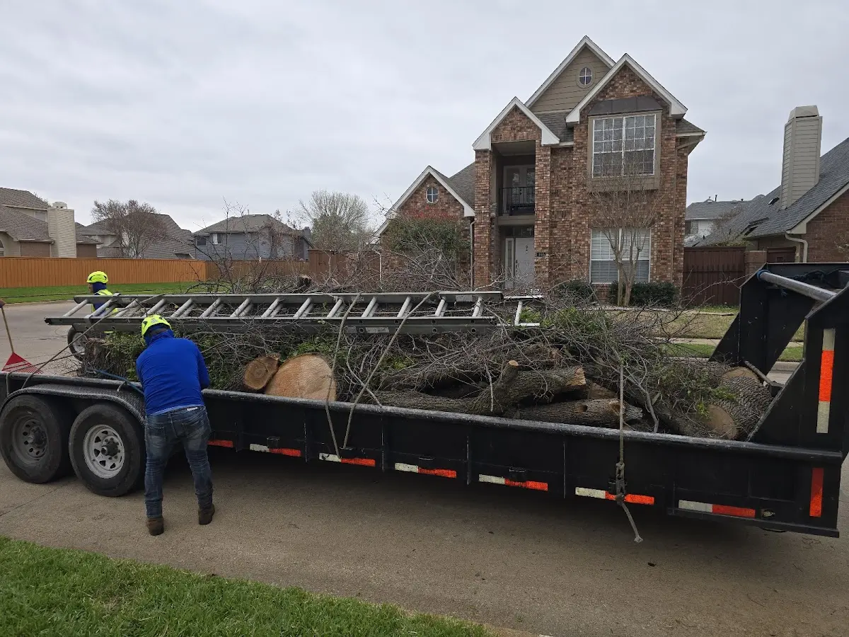 Expert Tree Fertilization with proper safety equipment in Knoxville